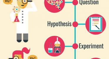 The research process and the research method