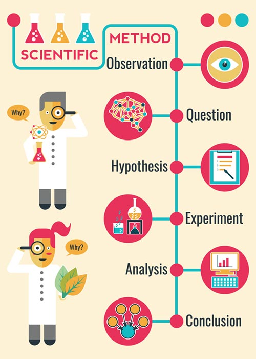 The research process and the research method